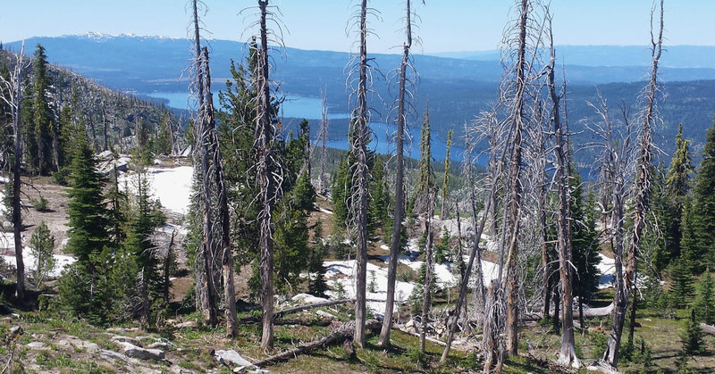 Payette Lake glimmers brightly in the distance from this view along the Crestline Trail.