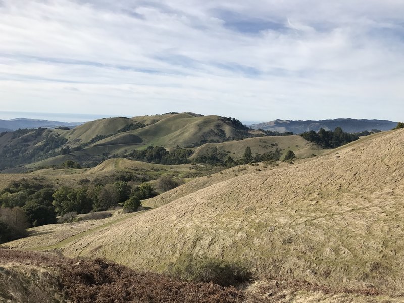 The hills surrounding the Russian Ridge Preserve, and the Pacific Ocean, can be seen off in the distance.