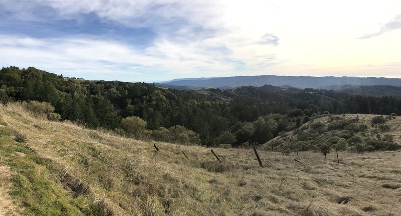 The Ancient Oaks Trail emerges from the woods with views of Russian Ridge Preserve and the surrounding mountains spreading out before you.