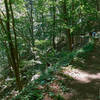 Enjoy this nice path along Popolopen Creek.