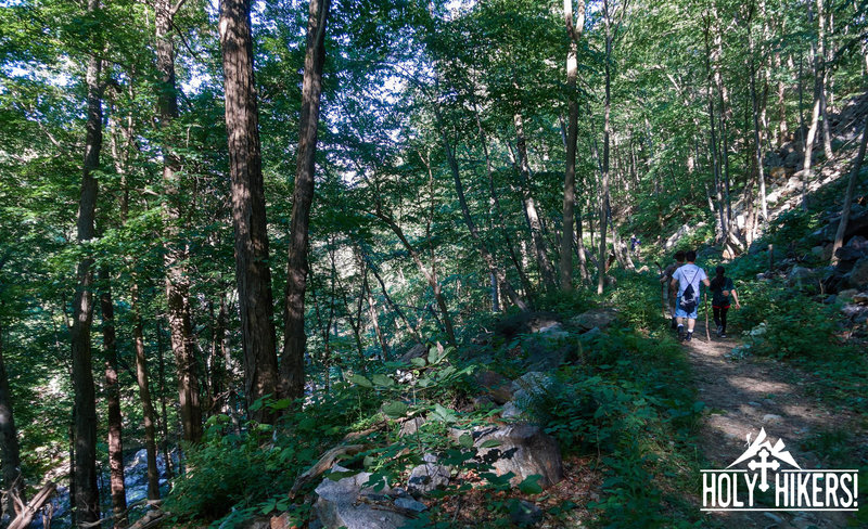 Our group makes their way through dense hardwood forests on the way to Popolopen Torne.