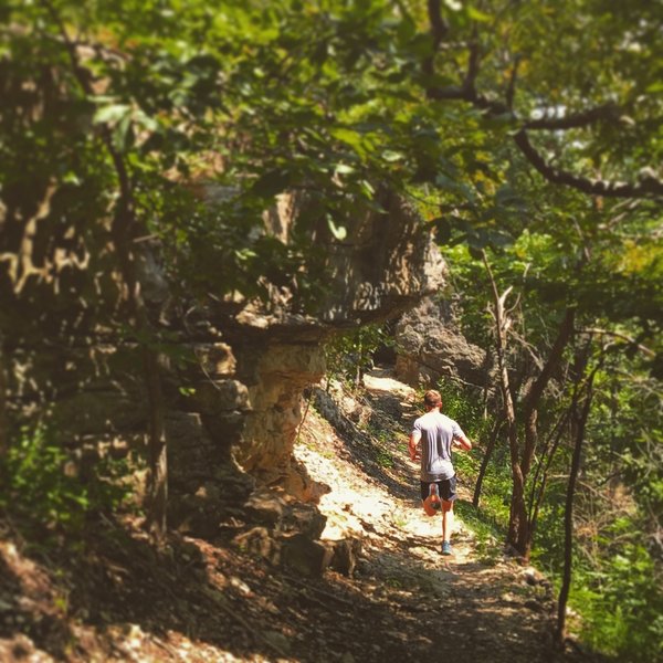 A hot summer morning doesn't stop this runner.