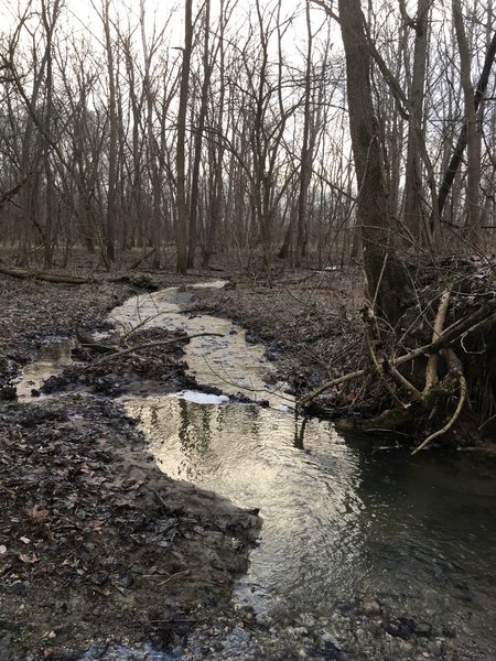 Cross this creek along the Orange Trail in Twin Creek Metro Park.