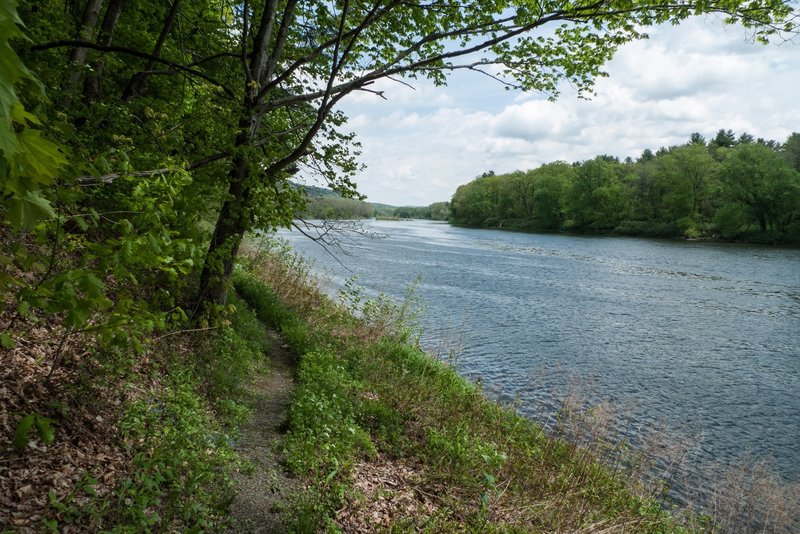 Even though this is a more difficult section of the McDade Recreational Trail, peaceful views of the river accompany you the whole way.