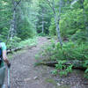 The first part of the Burnt Lake Trail was once a road up to Devil's Meadow. Photo by Yunkette.