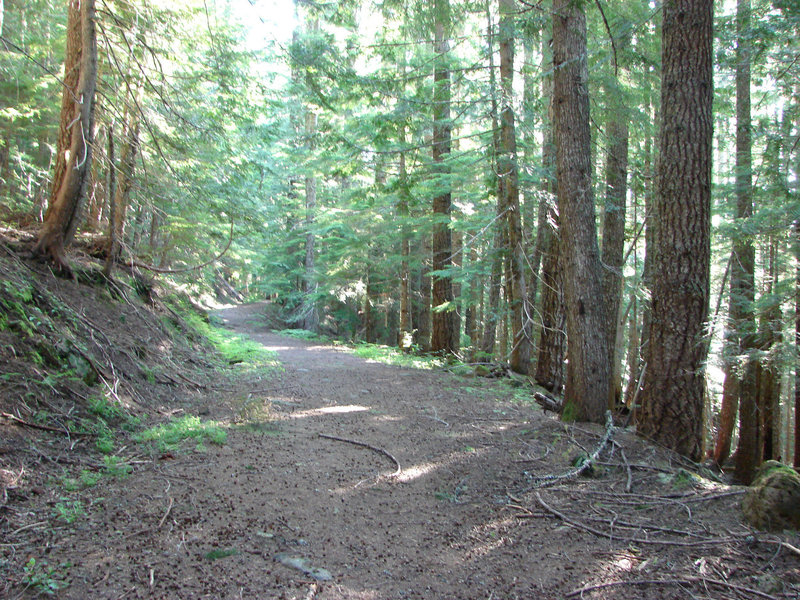 The old road was often used by local Native American tribes for huckleberry picking. Photo by Yunkette.