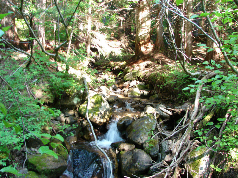 Enjoy this creek along the Burnt Lake Trail South. Photo by Yunkette.