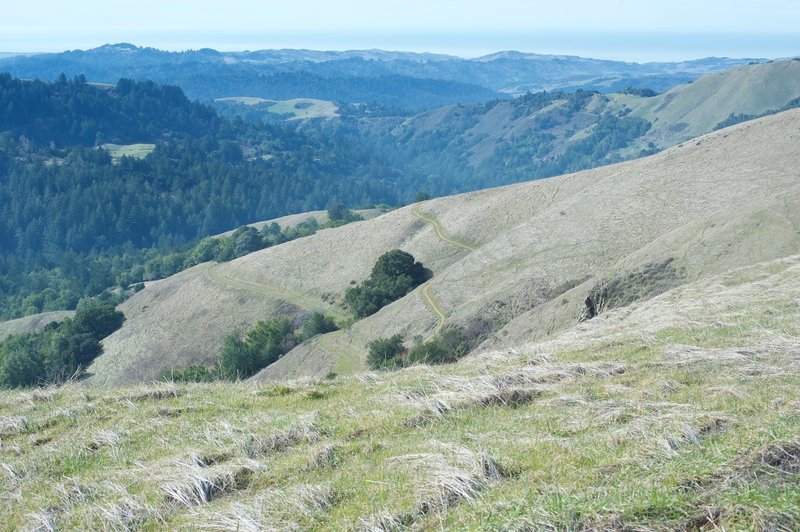 From the Ridge Trail, you can see the Hawk Trail descending the hillside and the Alder Spring below that.