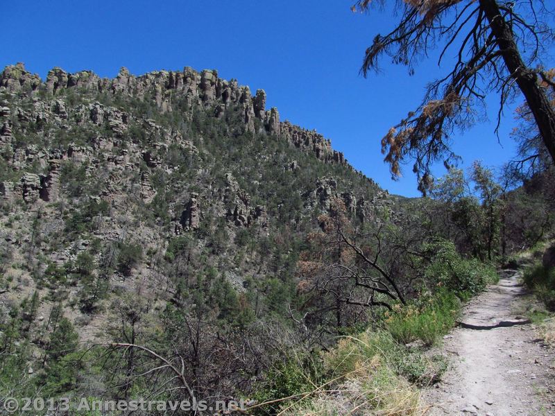 Views of spires await along the Upper Rhyolite Trail.