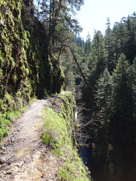 Navigate these tight cliffs on the way to Punchbowl Falls.