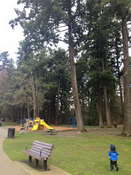 A lakeside playground awaits small children under huge trees.