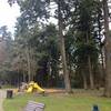 A lakeside playground awaits small children under huge trees.