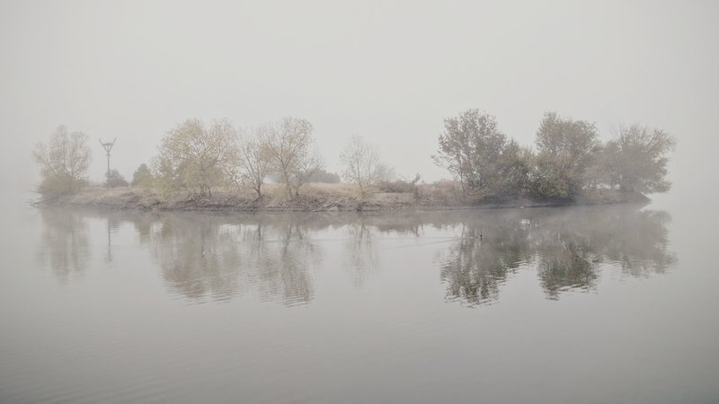 Morning fog rolls over Cooper Island at Sloan's Lake Park.