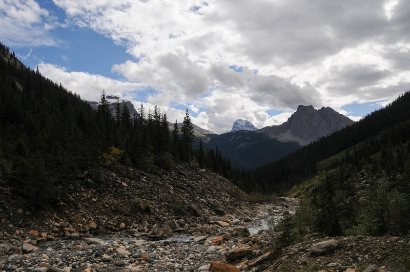 Wapta, Stephan, and Burgess scrape the sky from Emerald Basin.