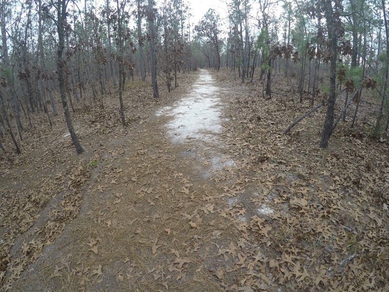 It's easy to make your way along this beautiful trail.