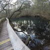 The boardwalk overlooks Hammock Sink.