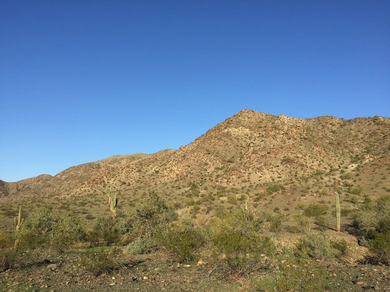 Enjoy this view from the common portion of the Pyramid and Bursera trails.