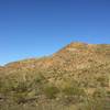 Enjoy this view from the common portion of the Pyramid and Bursera trails.