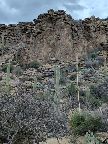 "Machu Picchu" can be seen off to the side along the Wild Burro Trail.