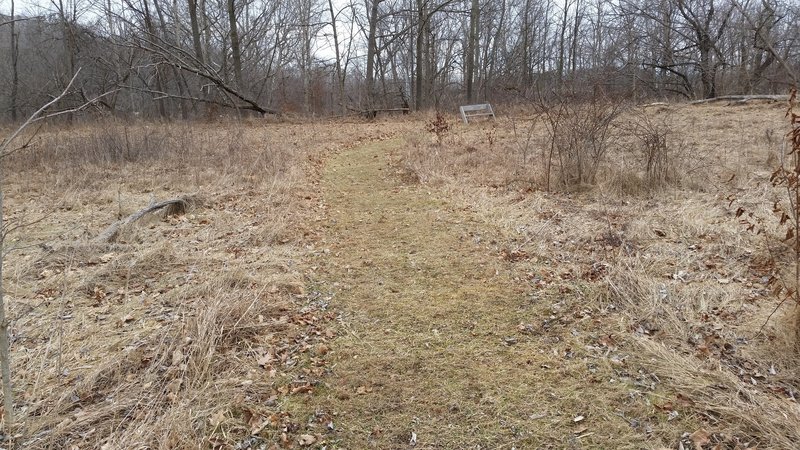 This is a view of the wide grass path (and a bench) in the winter.