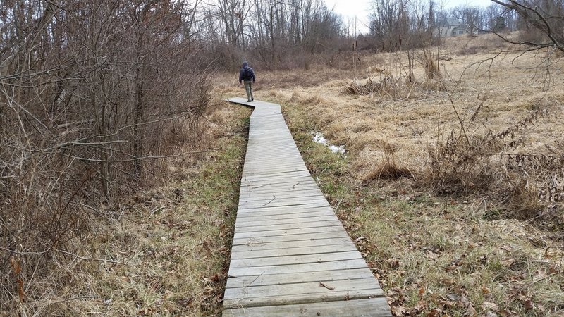 A short boardwalk guides you along this section of the Hathaway Preserve at Ross Run.