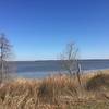 Enjoy a nice view of the York River from the Woodstock Pond Trail.