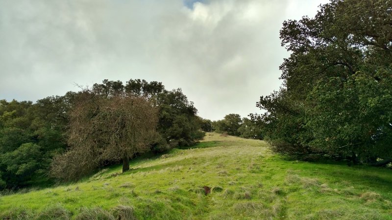 Climb Church Hill to visit the site of the miners' old English Camp Church.