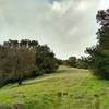 Climb Church Hill to visit the site of the miners' old English Camp Church.