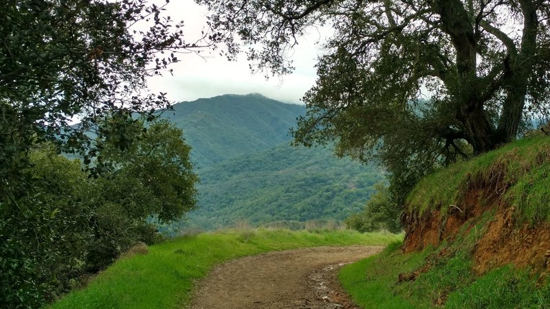 The Santa Cruz Mountains are shrouded in clouds on a stormy winter day along the Wood Road Trail.