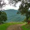 The Santa Cruz Mountains are shrouded in clouds on a stormy winter day along the Wood Road Trail.