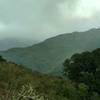 The Santa Cruz Mountains poke through the clouds on a stormy winter day along the Wood Road Trail.