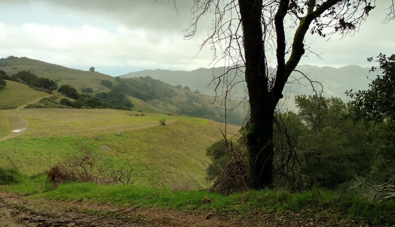 The Wood Road Trail meanders through the Quicksilver Hills with the Santa Cruz Mountains in the distance.