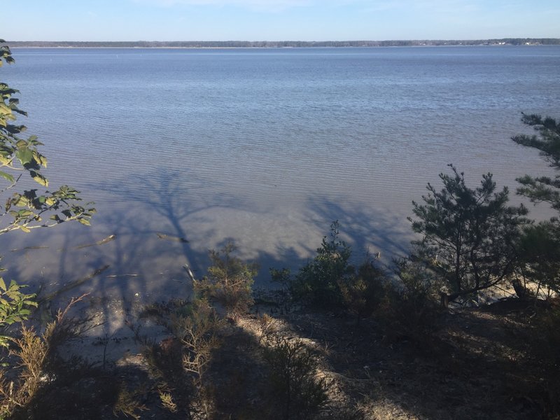 Tree shadows fall on the York River at the end of the Powhatan Forks Trail East Fork.