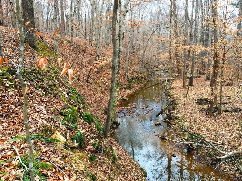 Step Hill rises above the creek.