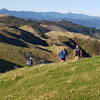 Views back over the Puke Ariki Trail to the north.