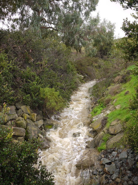 Little Shaw Valley's normally dry creek runs strongly after heavy rain.