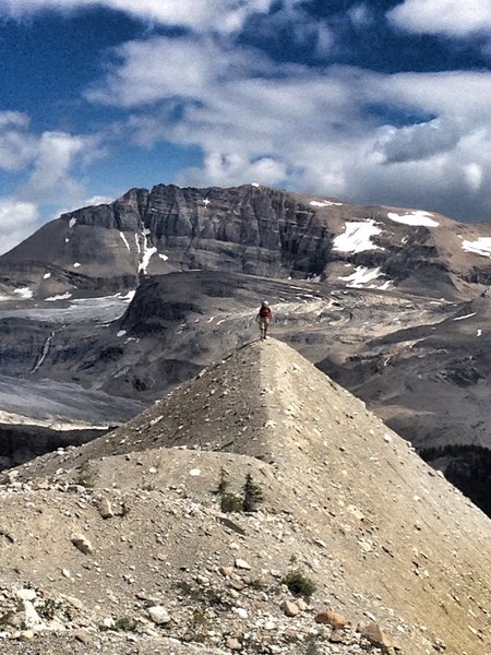 Summiting on the Iceline Trail.