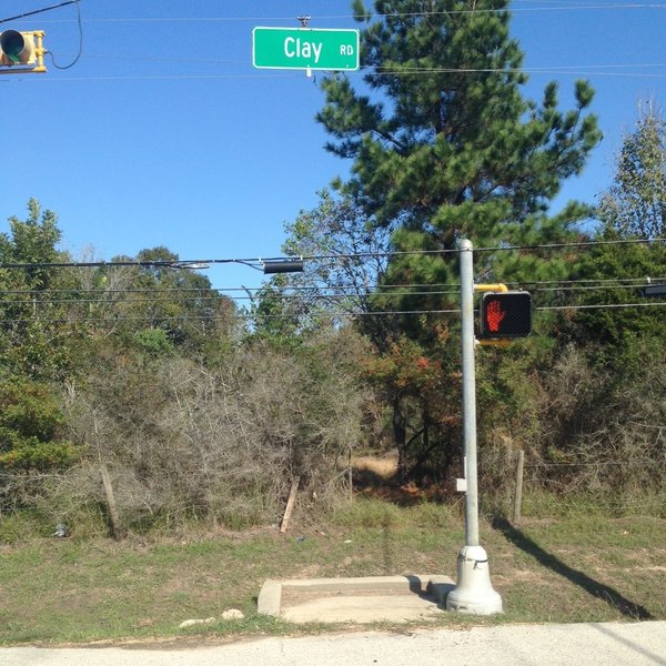 The southern entrance to Wise Fox Trace is at Clay Road and War Memorial Street.