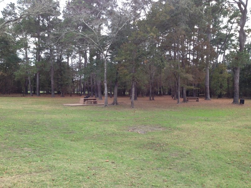 The north end of Plummer Trace is located near some parking on Sullins Way in Bear Creek Pioneers Park.