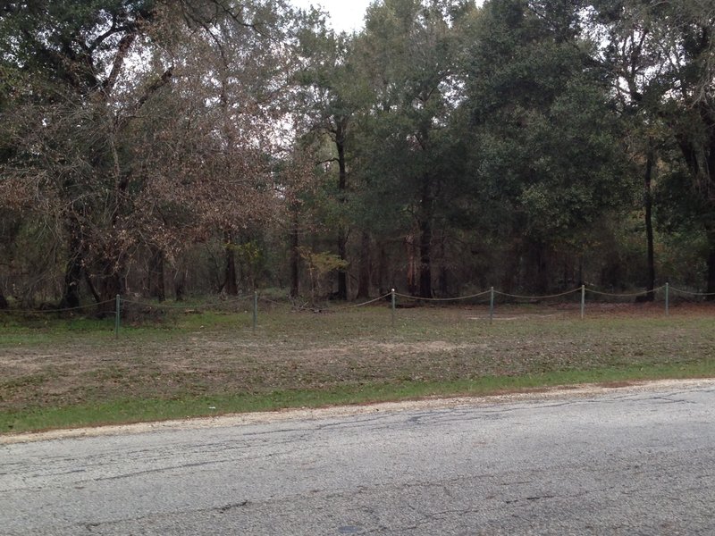 Although it's hard to see in the photo, Plummer Trace is just north of Patterson Road in those woods.