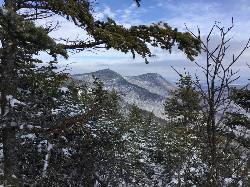 Every so often, you'll get a peek through the forest to the snow-capped mountains beyond.