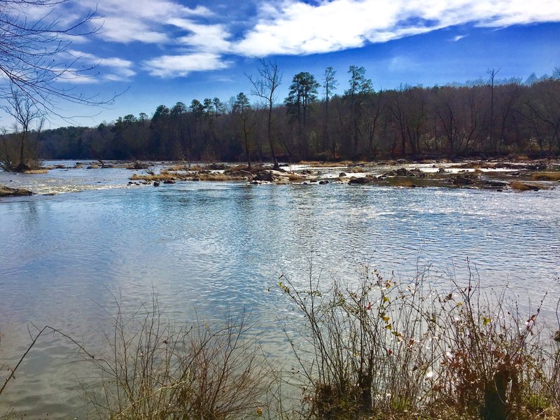 The Lower Haw River shines in the sun as it meanders by the trail.