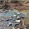 Take care in placing your feet as you navigate this creek crossing along the trail.