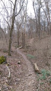 A sturdy bridge aids your passage over a small creek in this section.