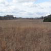 Enjoy pleasant prairie views from the Big Prairie Stand.