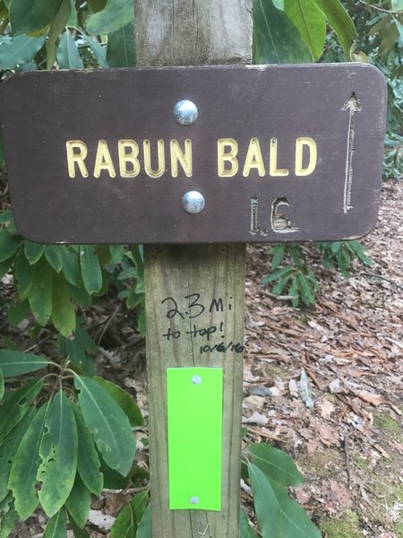 This is the only green blaze I saw -  the rest were yellow. And the 2.3 miles noted is if you take the trail to the right at the very beginning (they merge halfway). The left fork at the trailhead is 1.6 miles from the top.
