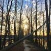 The sun sets over Jordan Lake and the Eagle Spur Trail.