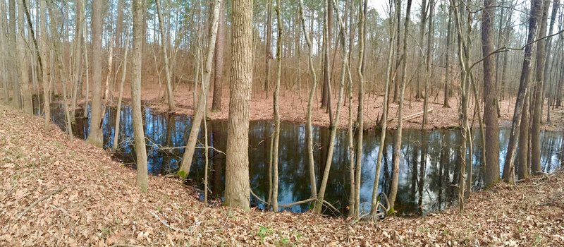 Black swamp waters are your trailside companion along this part of the Eagle Spur Trail.