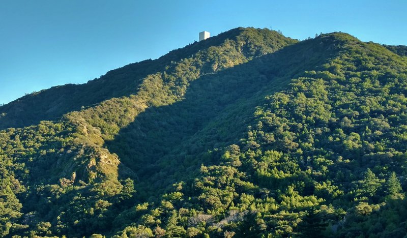 Mt. Umunhum shines in the late-afternoon sun from the Woods Trail.