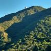 Mt. Umunhum shines in the late-afternoon sun from the Woods Trail.